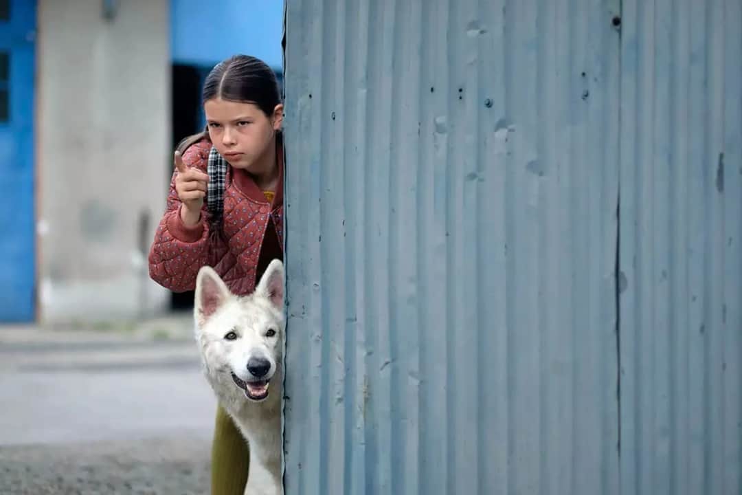 Ile trwa film o psie który jeździł koleją? Zaskakująca długość!
