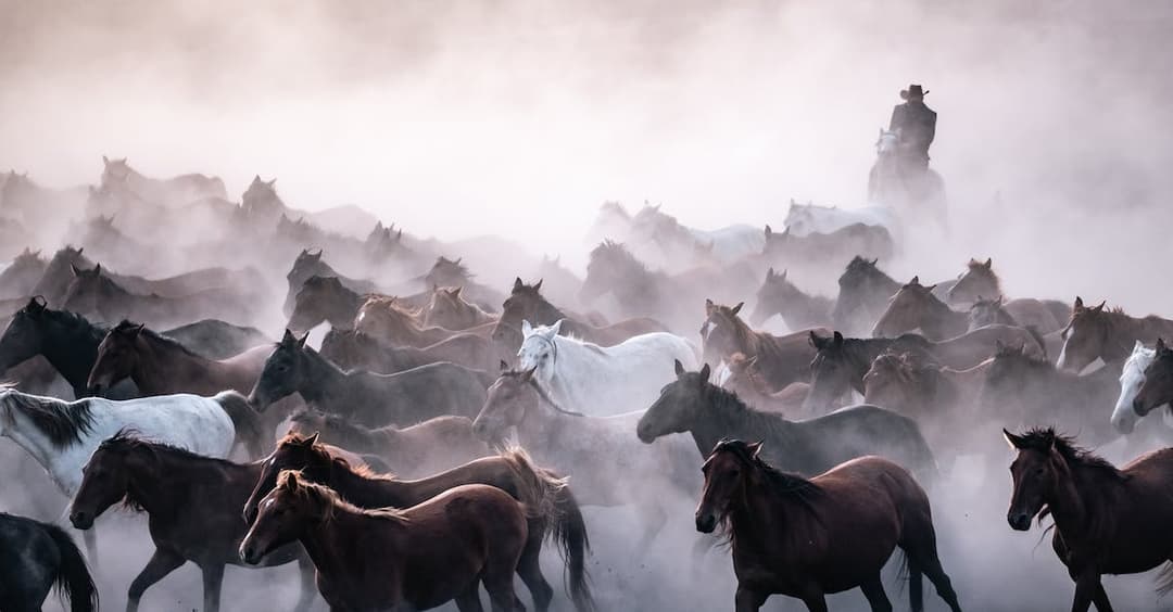 Indiana Jones 5 w kinach - co sądzę o filmie? Przeczytaj recenzję