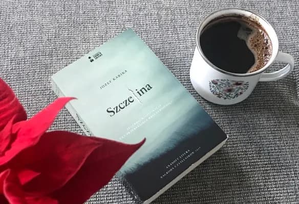 Szczelina Józef Karika: Czy warto sięgnąć po tę recenzowaną powieść sensacyjną?